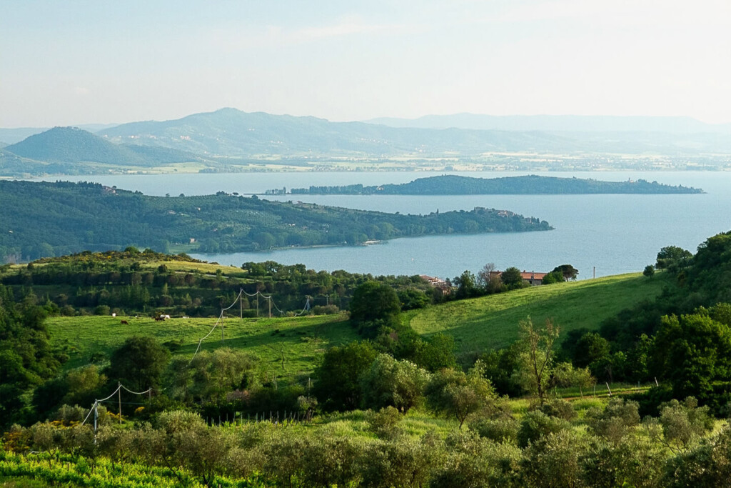 Trasimeno line