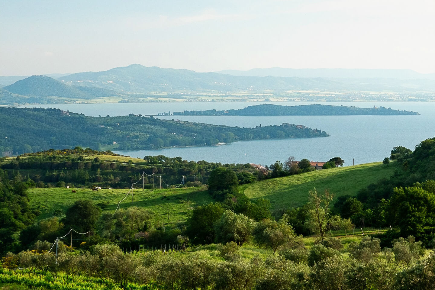 Trasimeno Line, to reach the beaches of the lake